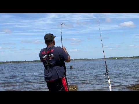 RED DRUM HOOK UP AND HOW TO RIGG TO CATCH THEM