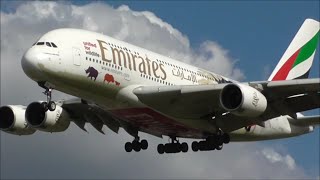 Midday Heavy Arrivals - London Heathrow Airport, LHR | 31/03/16