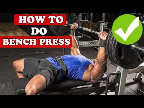 HOW TO DO BENCH PRESS IN HINDI | HOW TO DO BENCH PRESS CORRECTLY | BENCH PRESS Technique | M S