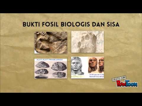 Video: Apa catatan fosil evolusi?