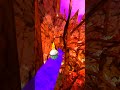 Would you take this offer #gorillatag #gorillatagquest #vr #gtag #gorillatagvr #gorilla