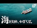 【Raft】今度のねぽらぼは！海だ！水着回！？いや、動物か～い！ #ねぽらぼ【尾丸ポルカ/ホロライブ】