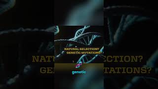 The genetic problem evolution can't explain...