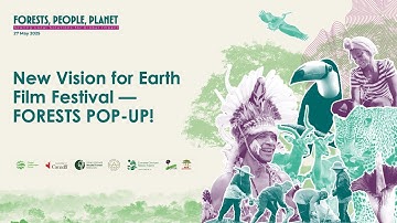 New Vision for Earth Film Festival — FORESTS POP-UP!