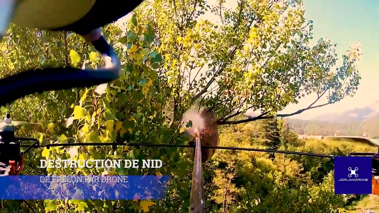 Destruction nid de frelons par drone