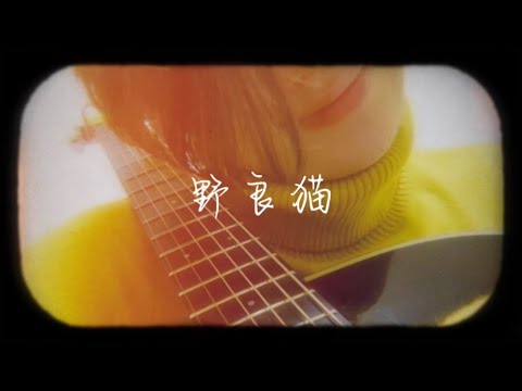 【今まで作った曲No.12】野良猫