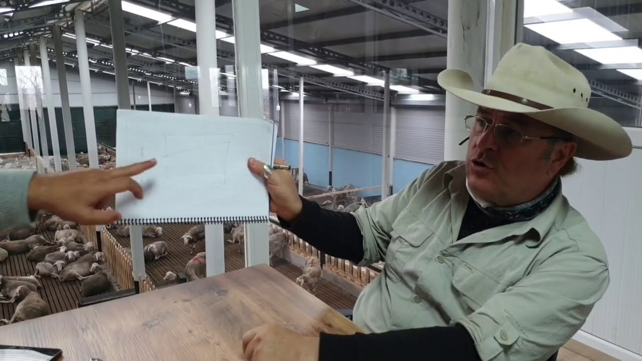 SAĞIMA GİREN KOYUNUN KUZUSU | KAÇ GÜN EMMELİ | LACAUNE 3. VE SON BÖLÜM