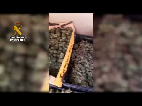 Intervienen una furgoneta cargada de marihuana en Maella (Zaragoza)