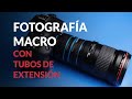 Cómo hacer fotografía macro con tubos de extensión