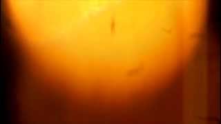 Music for Interference Patterns