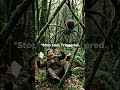 Nature is Bearish 🕷️ #darkcomedy #tradinghumor #nature #rekt #episode39 #916video
