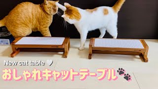 【かわいい猫グッズ