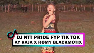 DJ NTT PRIDE - FYP TIK TOK 2023 - ( AY KAJA X ROMY BLACKMOTIX )