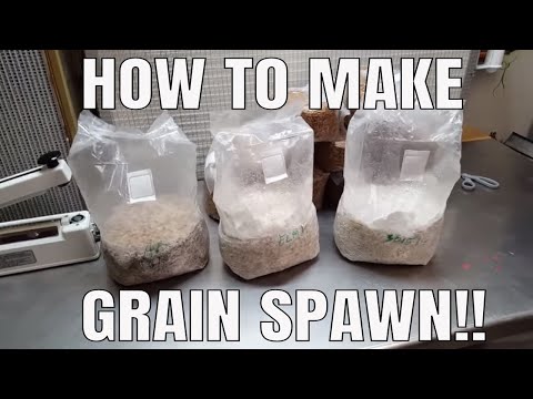 How to Make