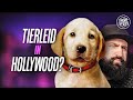 Werden in Hollywood wirklich keine Tiere verletzt?