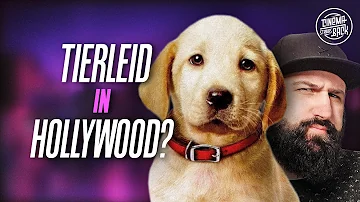 Wie werden Tiere in Filmen wirklich getötet?