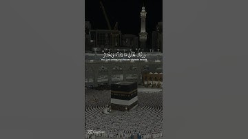 ياسر الدوسري #قرآن #اكسبلور #تلاوة_خاشعة #لايك #قران_كريم #راحة_نفسية #ياسر_الدوسري