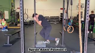 Spring Ankle Position 1