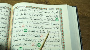 قوڕئانی پیرۆز بەشێوەی فێرکاری سورەتی العنكبوت تعلیم القران الكریم سورة العنكبوت