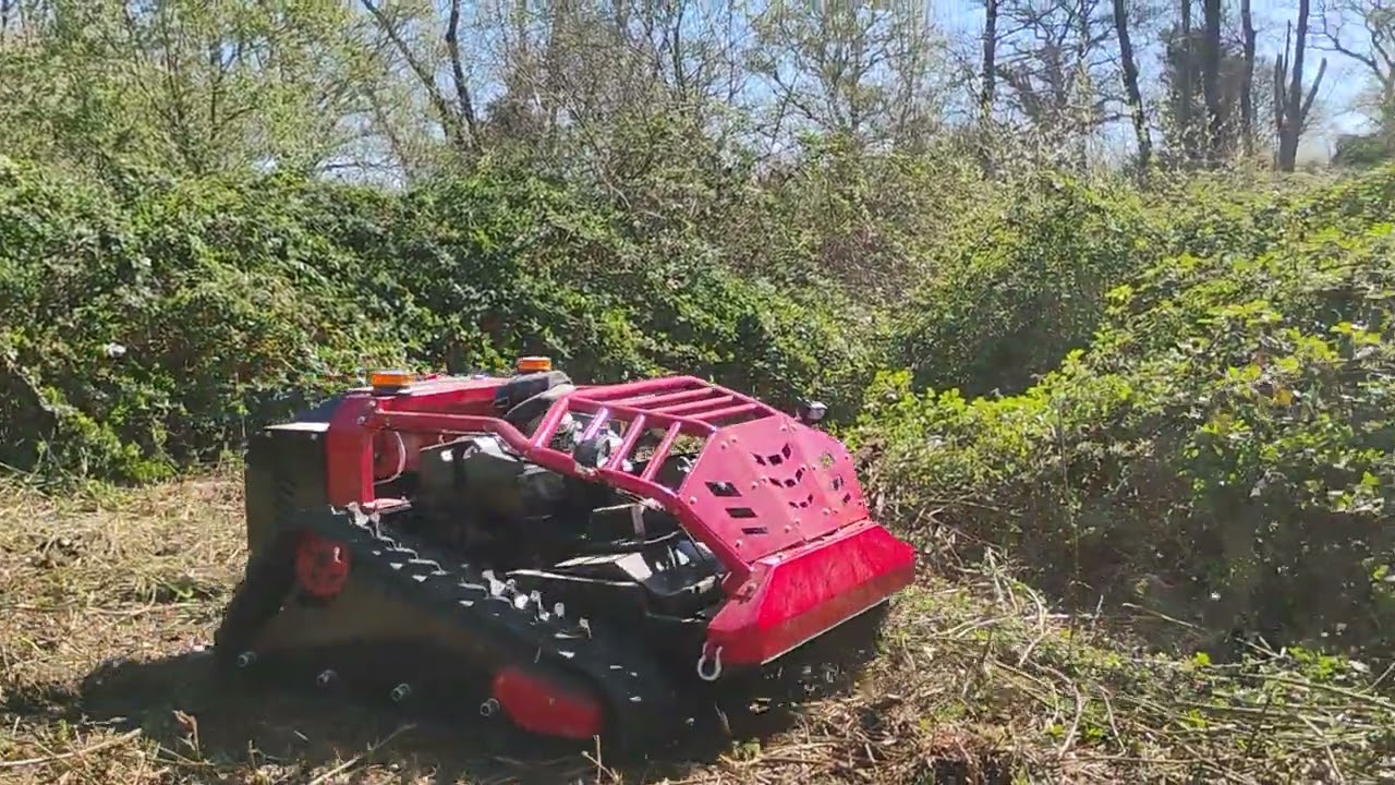 Essai de la QRZ900 par un client - débroussaillage de ronces