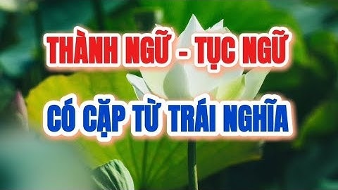 Những câu thành ngữ, tục ngữ có cặp từ trái nghĩa|| Ca dao tục ngữ Việt Nam