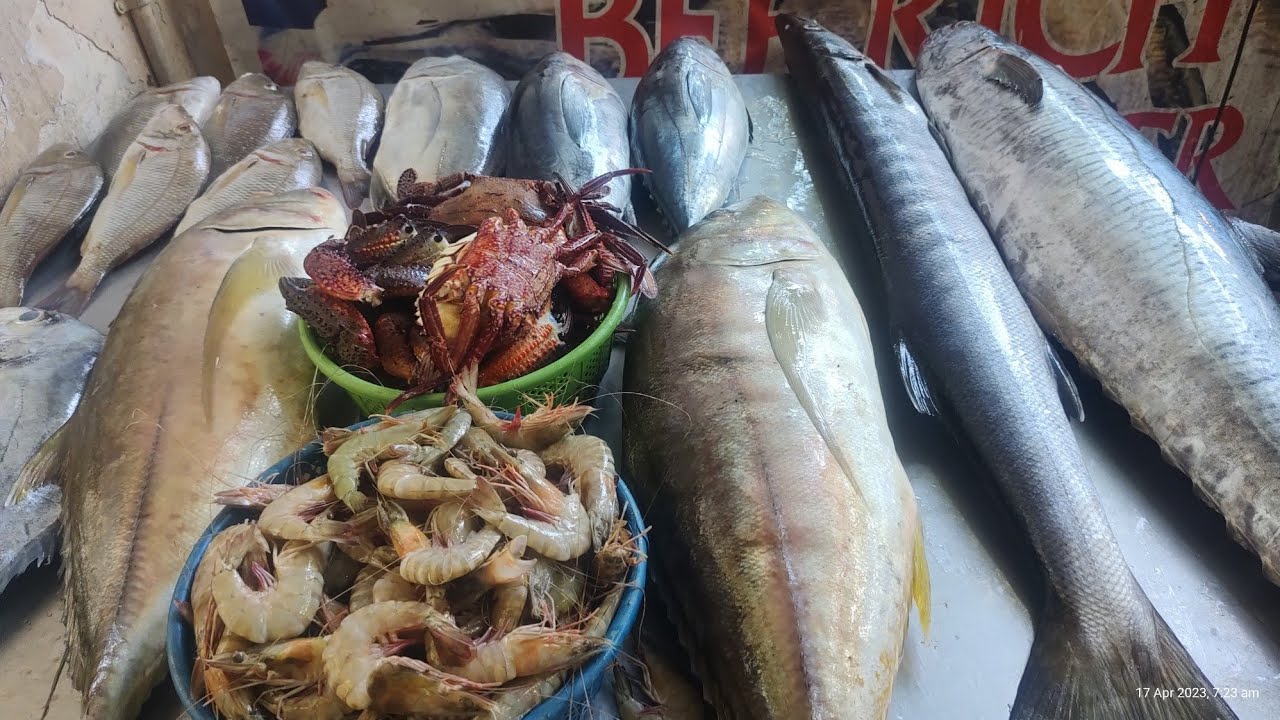 BEE RICH FISH CORNER 🐠🐟 17/04/2023கடல் மீன் 🐟 7558104104 fishmarket