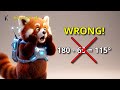 How to Find Missing Angles: Triangles, Quadrilaterals &amp; Lines | 11+ Maths