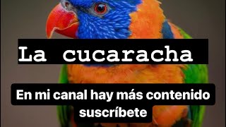 Silbidos para loros, cotorras, pericos 10 min (“La cucaracha”).  whistles for your parrot.!!