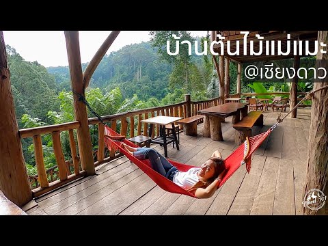 บ้านต้นไม้แม่แมะ สัมผัสธรรมชาติกลางหุบเขา เชียงดาว | Travel 101 | SS1:Ep7