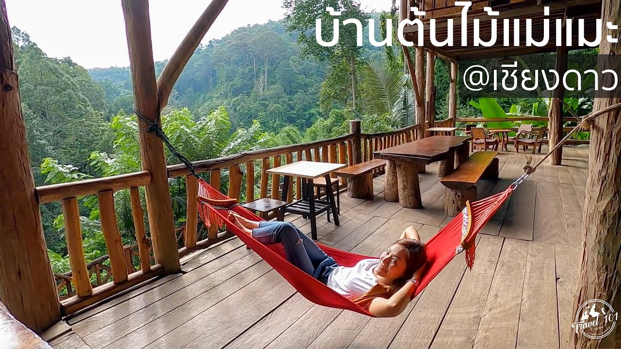 บ้านต้นไม้แม่แมะ สัมผัสธรรมชาติกลางหุบเขา เชียงดาว | Travel 101 | SS1:Ep7