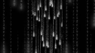 Matrix Code Rain White