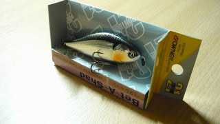 :   Bet-A-Shad 63SP-SR Pontoon21