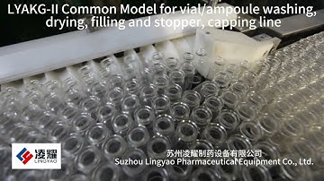 Vial Filling Mahcine Automatic Linear Vial Washing Machine PLC, with plunger pump high speed