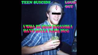 Video thumbnail of "Teen Suicide - Everything Is Going To Hell"