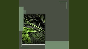 Pulsating Ambiance for Lazy Days