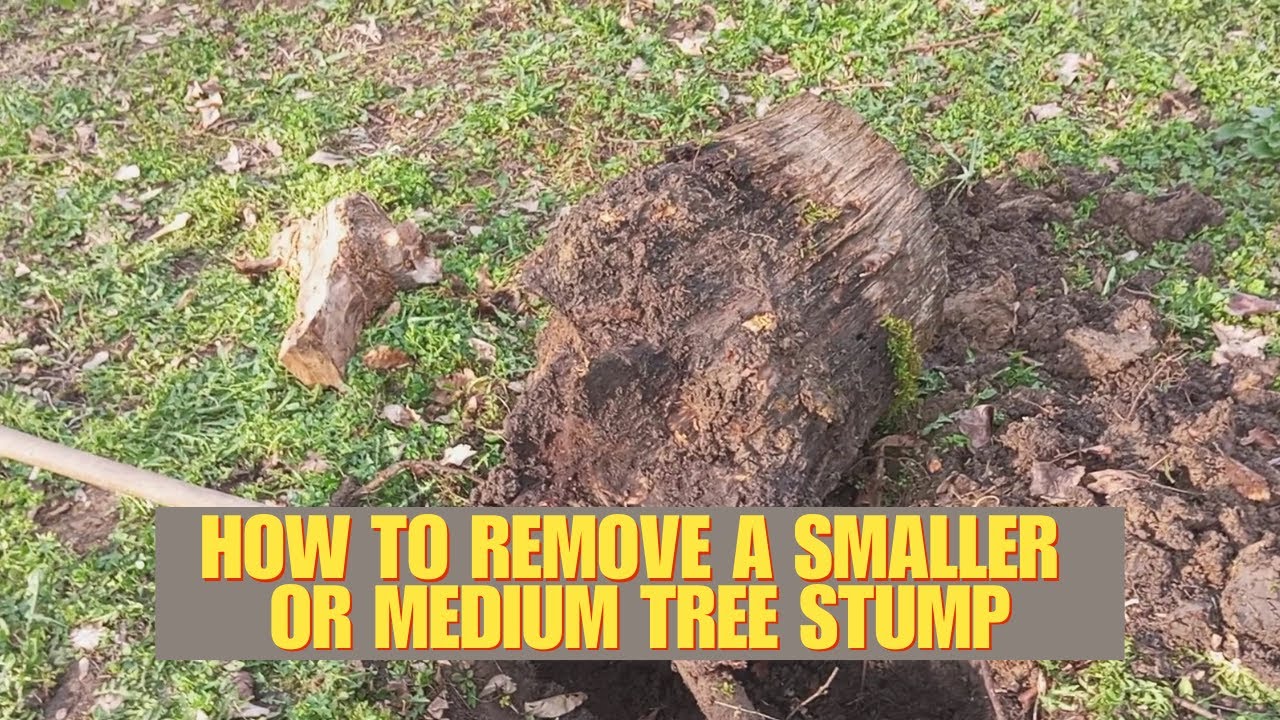 How To Remove A Tree Stump-For Smaller And Medium Stumps - YouTube