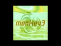 monkey3 - 35007