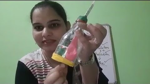 E.V.S class 5th Lead School Day 1 part 1 Unit 2 Organ system and Diseases(inhalation and exhalation)