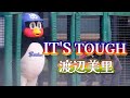IT&rsquo;S TOUGH 渡辺美里