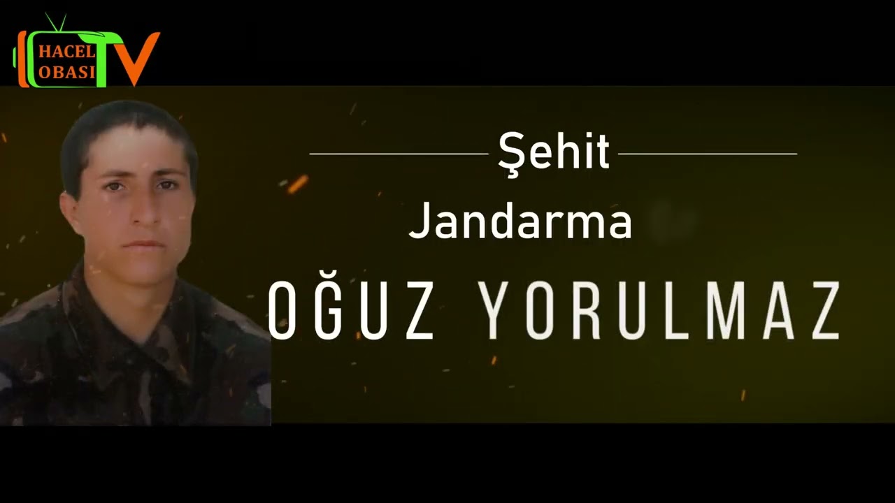 Şen Döllüğün Baharı 