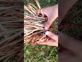 asmr relaxation 😌 😴 ☺️ ✨️ 🤗 👌 😌 😴 ☺️ ✨️ 🤗 👌 😌 😴 ☺️ ✨️ 🤗 👌 😌 😴 ☺️ ✨️ 🤗 #ambientsounds #calmingsounds