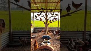 🌿 Healthy Chickens = Premium Eggs = Bigger Farm Profits 🥚💰 #chicken #chickencoop #freerangechickens