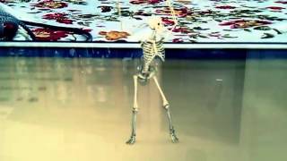 The skeli beli has danced