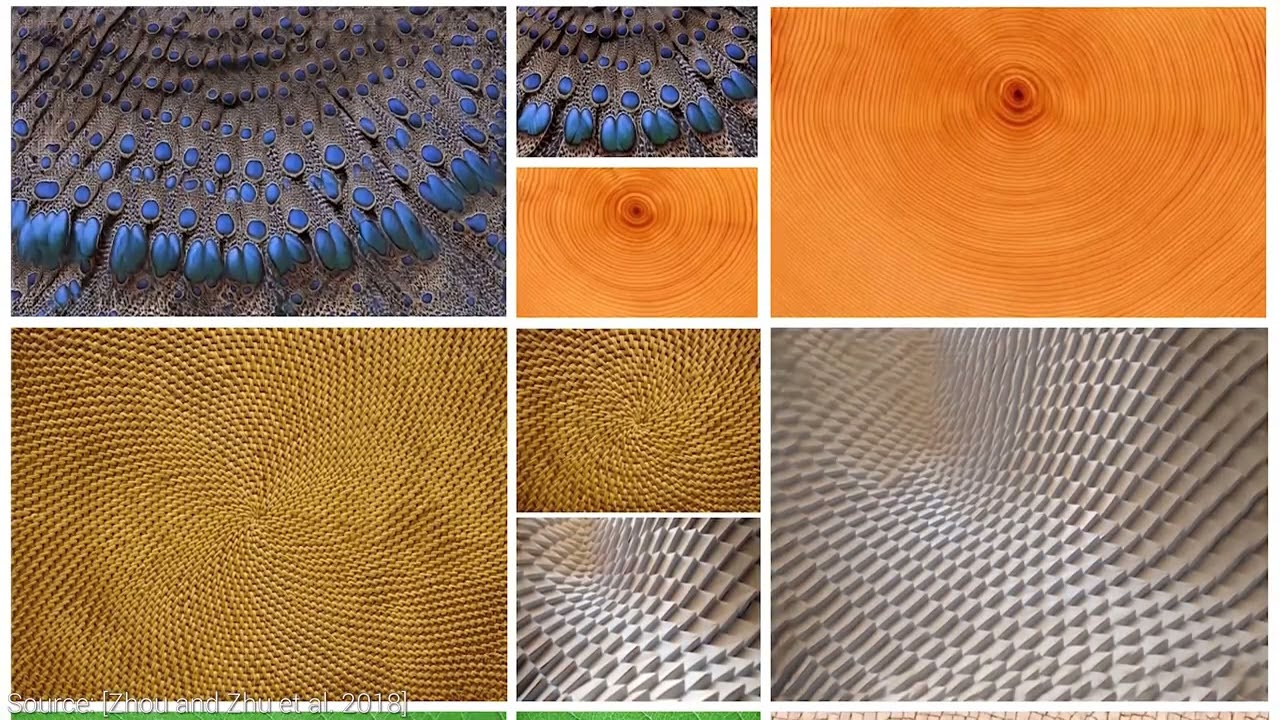 Texture Synthesis