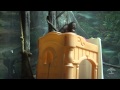Orangutans on a Boat