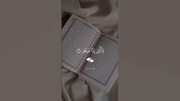 سورة الضحى…ارح سمعك 😴| #قرآن #تلاوة_خاشعة #راحة_نفسية #احمد_العجمي #اكسبلور #تابعوني #لايك