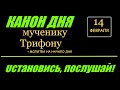 Помолимся, братья и сёстры! КАНОН ДНЯ 14 ФЕВРАЛЯ МУЧЕНИКУ ТРИФОНУ. Присоединяйтесь.