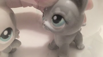 Lps Hymn For The Missing Grey stripe X Silver stream