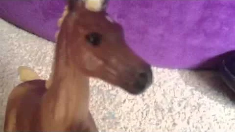 Breyer movie help