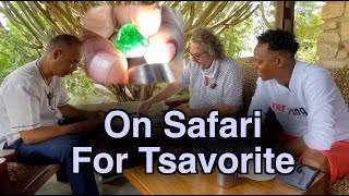 Episode 11: On Safari For Tsavorite! screenshot 4